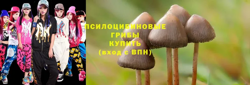 Псилоцибиновые грибы Magic Shrooms  мега ONION  Ачинск 